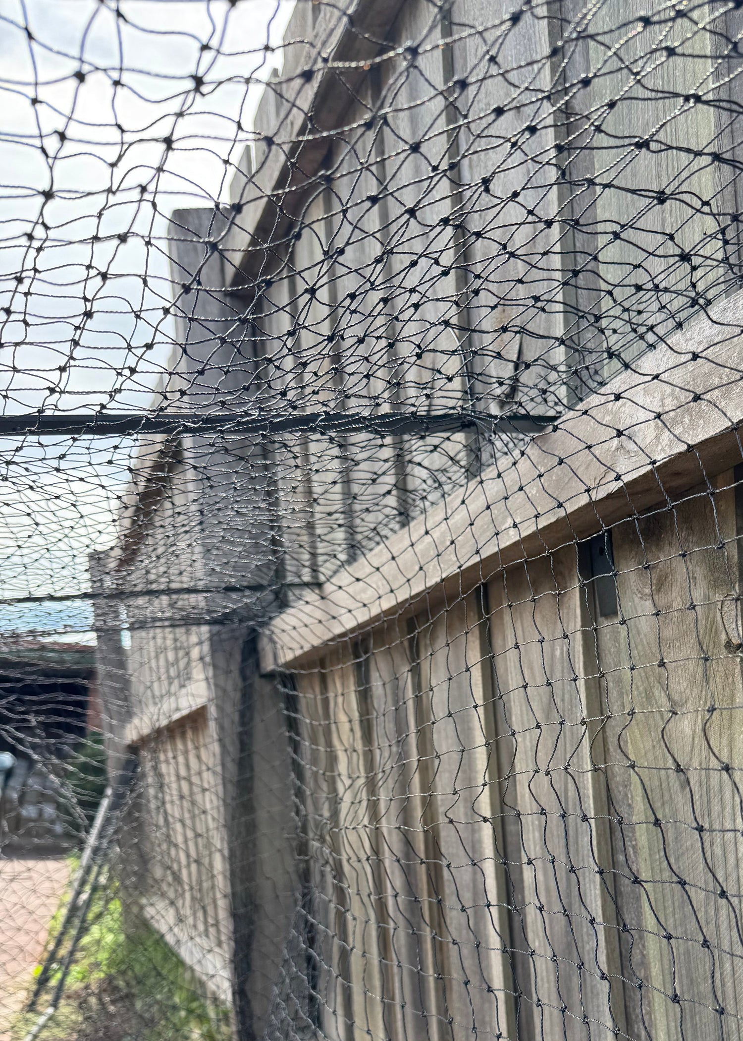 Close of shot of the cat netting attached to the fence
