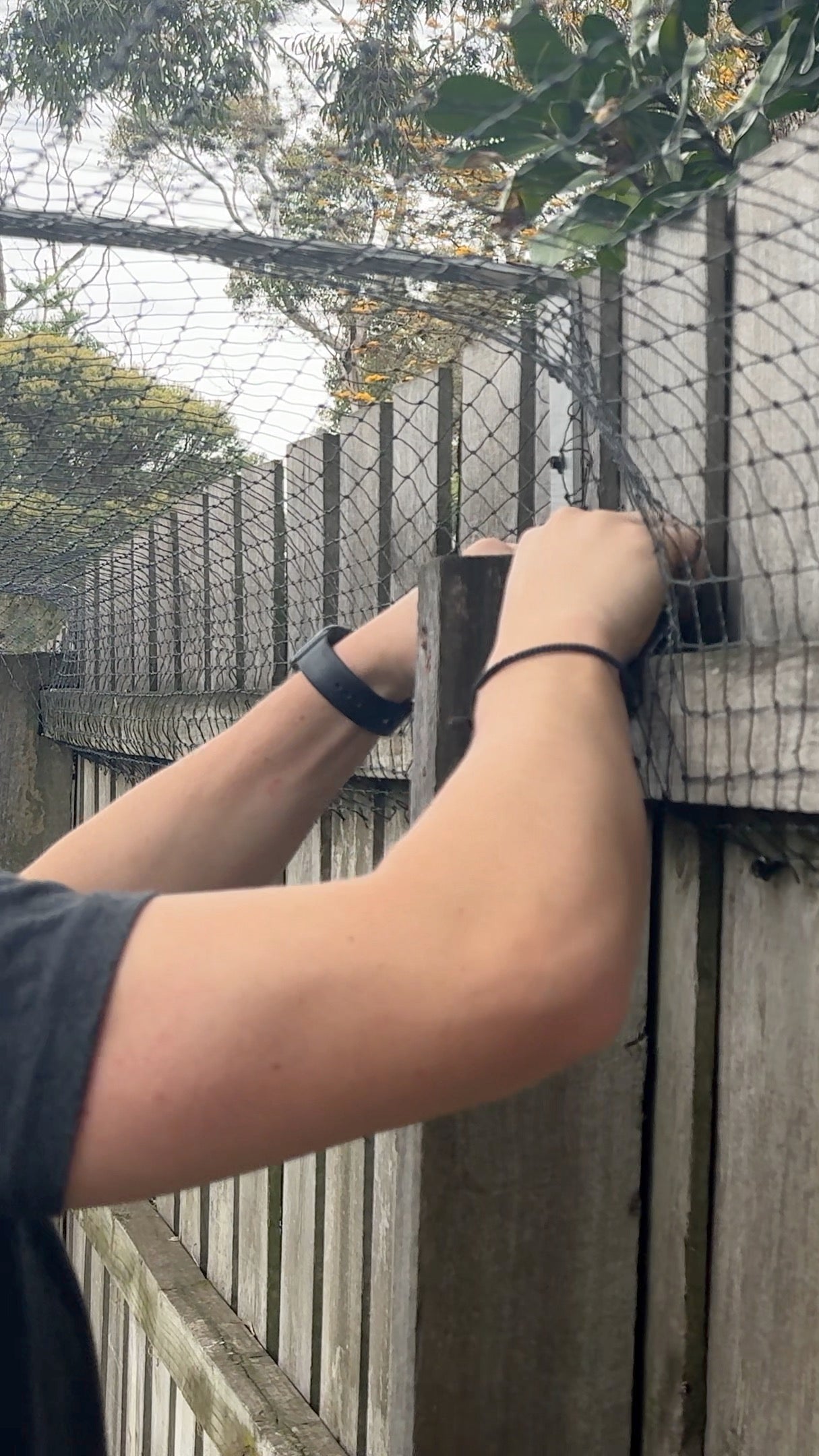 installing the cat net to a fence using the accessories