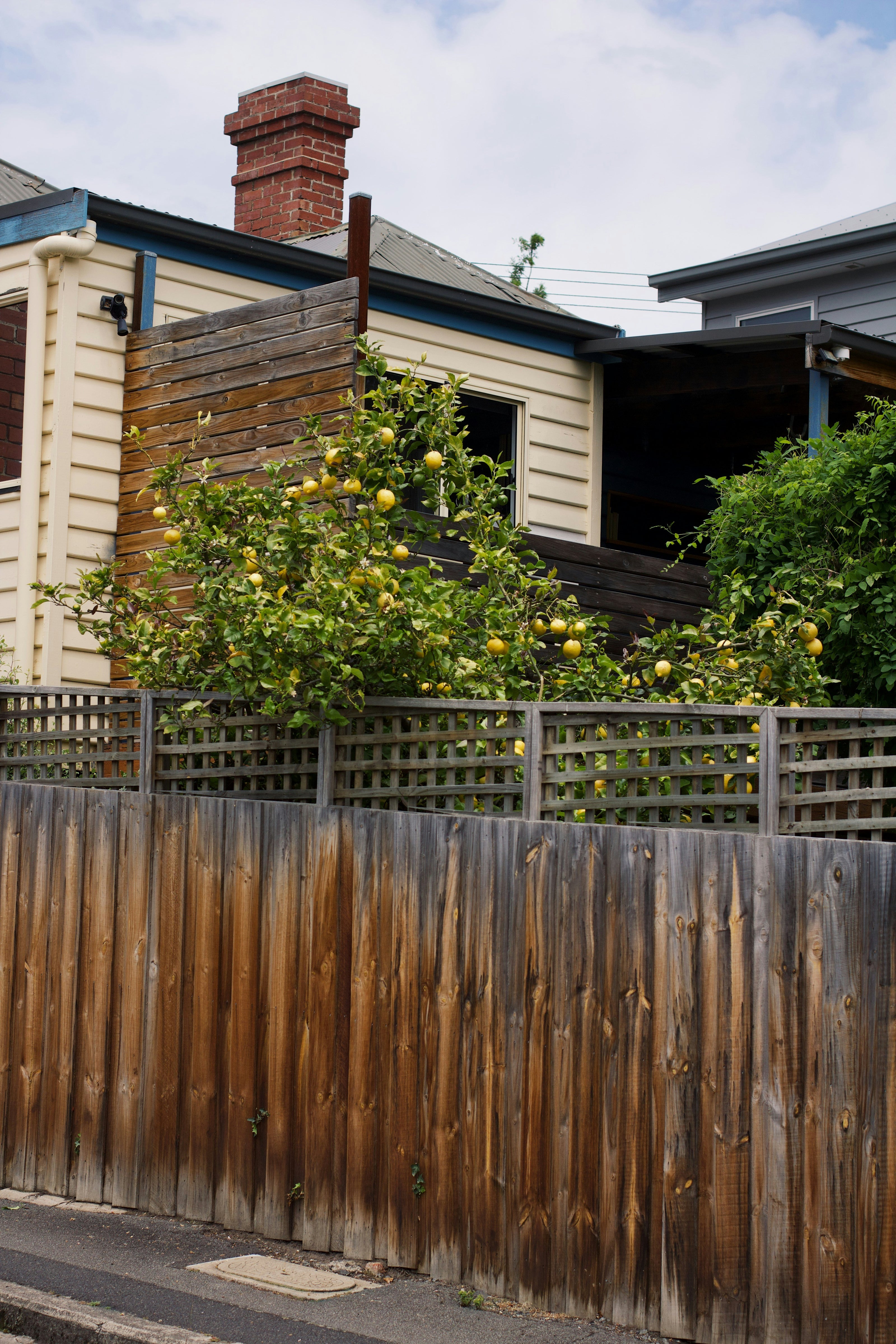 Typical fence where a cat net could be installed to keep cat safe